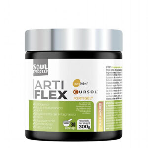 Soul Project ARTIFLEX